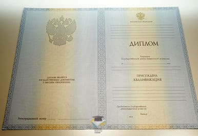 Диплом СПбГЭУ 2012-2013 годов